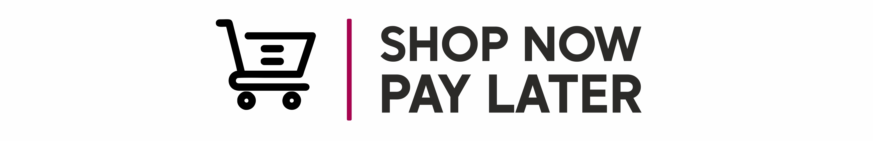 SHOP NOW PAY LATER 